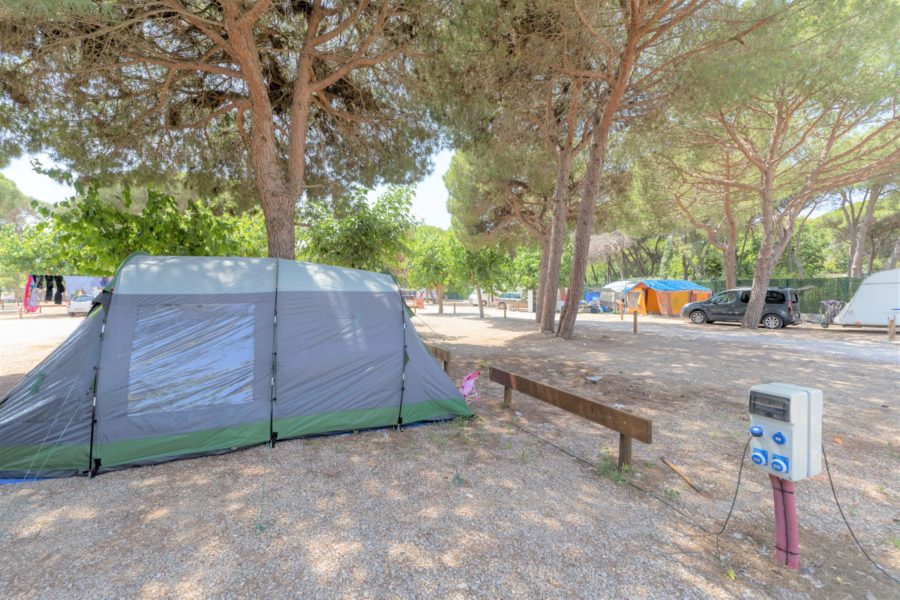 Estrella de mar camping-estrella-de-mar-parcela-tienda-900×600