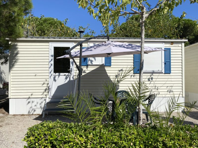 Estrella de mar img-5432-800×600