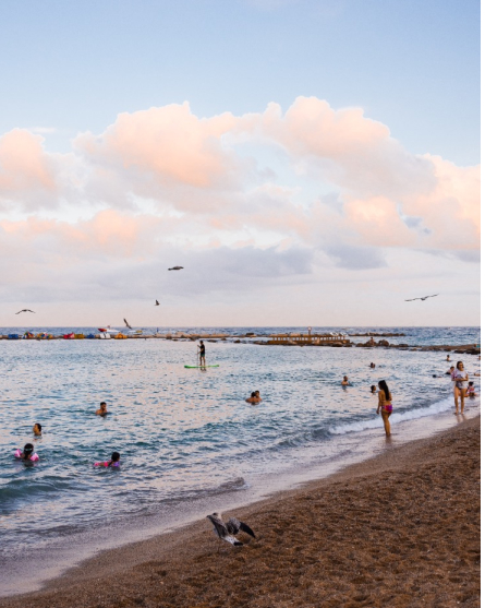 experiencies Open 365 banner